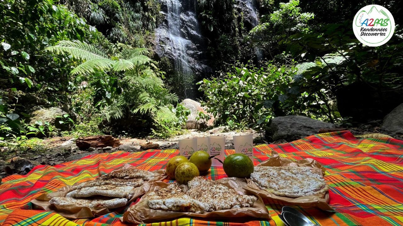 randonnee-martinique-cascade-couleuvre-avec-guide-de-randonnee-et-pique-nique-local